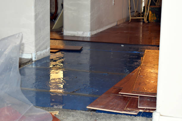 Professional Basement Flood Cleanup technician working in Peotone, IL